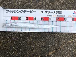 フィッシングダービー2020